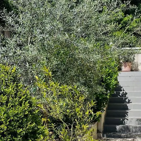 Propriete Malva Margherita 阿拉塔