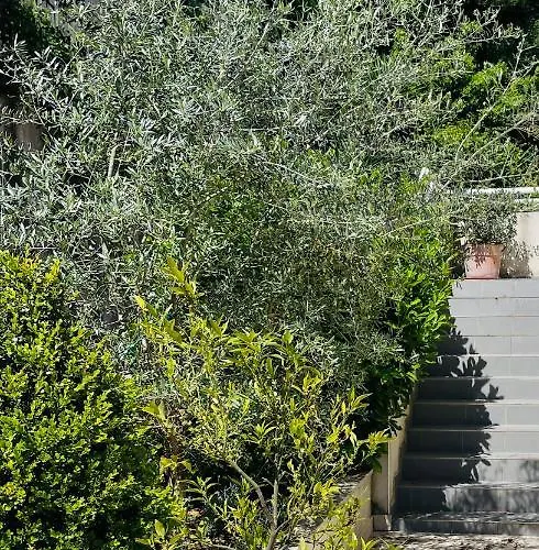 Propriete Malva Margherita Alata